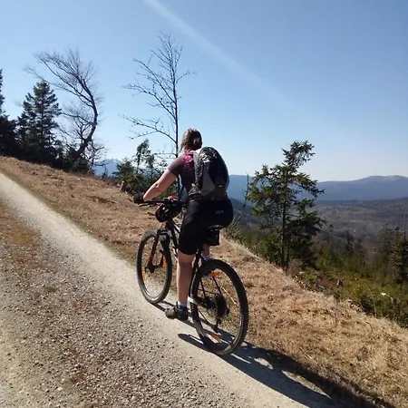 Zur Waldbahn 4* Zwiesel