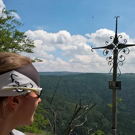 Ξενοδοχείο Zur Waldbahn Zwiesel