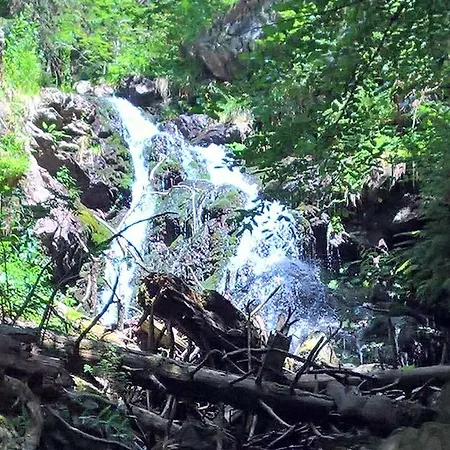 Ξενοδοχείο Zur Waldbahn Zwiesel