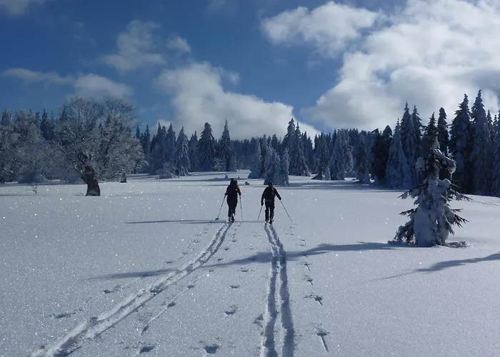 Hotel Zur Waldbahn 4*