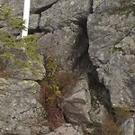 Zur Waldbahn Hotel 4*