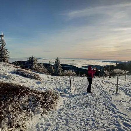 Zur Waldbahn Hotell Zwiesel