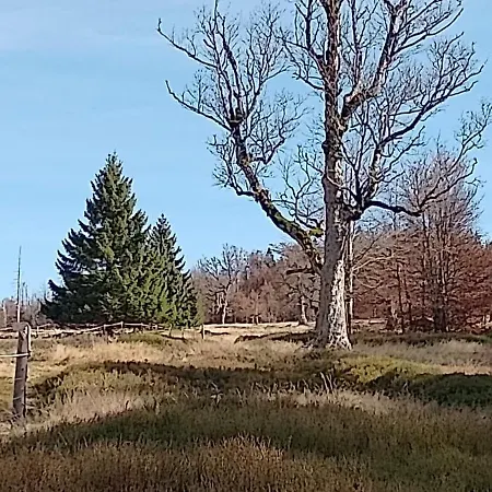 Zur Waldbahn Hotell Zwiesel
