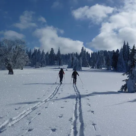 Hotel Zur Waldbahn 4*