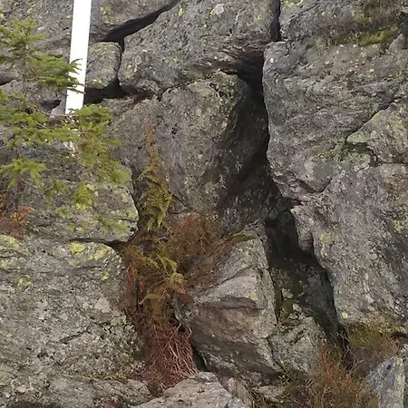 Zur Waldbahn Hotell 4*